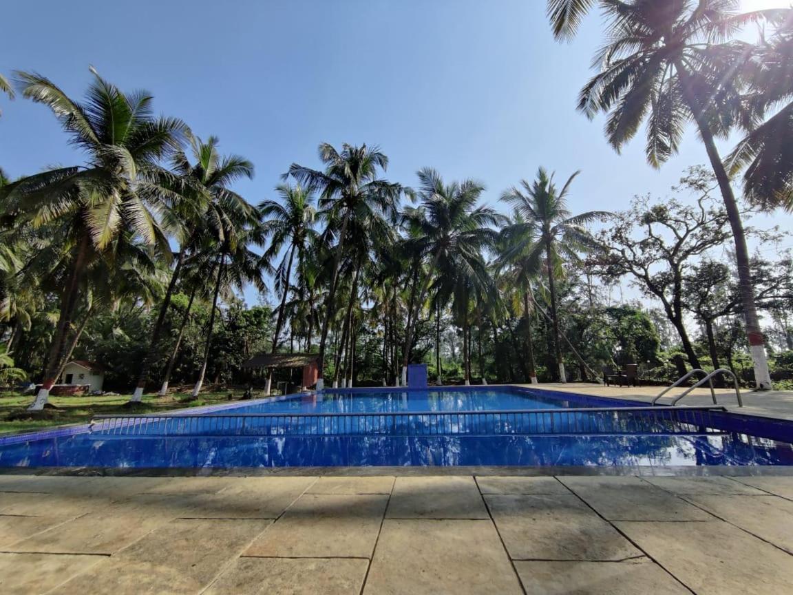 White House Beach Resort, Nagaon Eksteriør bilde